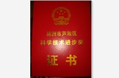 株洲市蘆淞區科學技術獎
